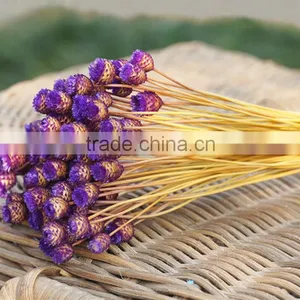 Dried Natural Small Mini Flower Brazilian Art Artificial Dried Flower Home Decoration thumbnail-4