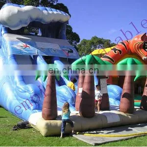 Coco Water Slide, Big Inflatables,inflatable Slide WS001 thumbnail-1