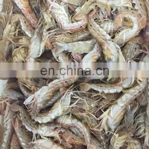 FROZEN MUD SHRIMP WHOLE ROUND thumbnail-4