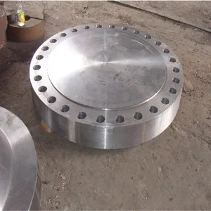 Astm A182 F316/316l/316h Tube Sheet Flange For V Band Clamps thumbnail-5