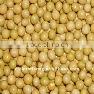 Organic Soybeans thumbnail-1