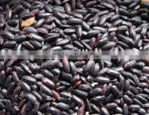 Black Rice P.E./ Oryza Satiua/ Black Kerneled Rice Extract/ CAS NO.: 528-58-5 thumbnail-1