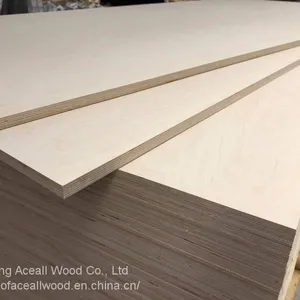[Aceall Wood] Commercial Plywood thumbnail-4