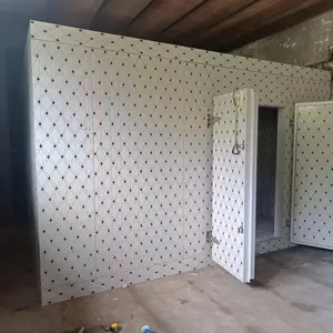Rapid Freezing Room，Sub-zero Cold Storage，Small Vegetable Cold Room thumbnail-4