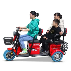 Electric Tricycle 60v 800w Bike Other Motorized Cargo Trike 3 Wheel Family Child Bike Prices Motorcycle Holland Adult thumbnail-2