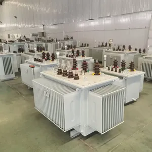 HV Distribution Transformer Oil Type Custom Windings for Industrial Plants thumbnail-1