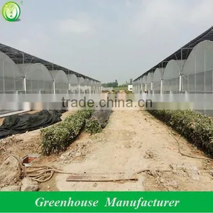 Poly Film Multi Span Orchid Greenhouse thumbnail-1