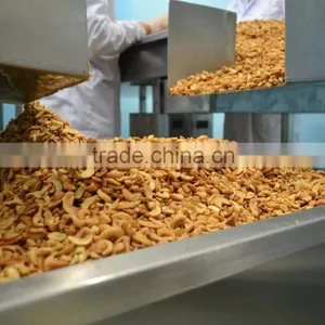 Vietnam Roasted Cashew W320 Good Quality thumbnail-1