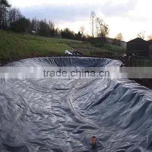 2mm Hdpe Geomembrane thumbnail-1