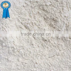 Shandong Dehydrated Garlic Powder ---Natural White (100% Garlic ) thumbnail-1