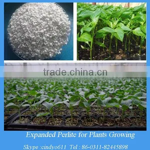 4-8mm Expanded Hydroponics Perlite thumbnail-1