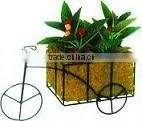 Coconut Fiber Basket thumbnail-1