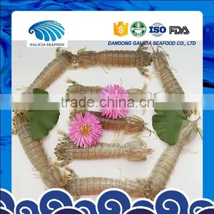 Frozen Squilla Mantis Shrimp thumbnail-1