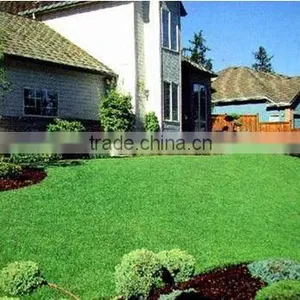Fake Grass Carpet thumbnail-1