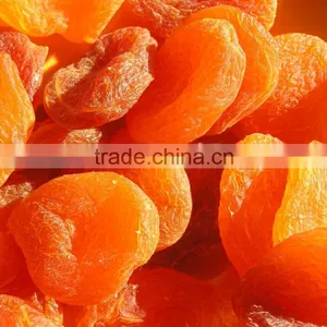 Dried Apricot thumbnail-2