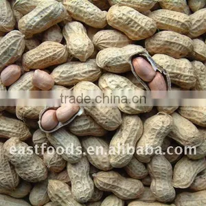 2014 Crop Chinese Peanut Kernel thumbnail-3