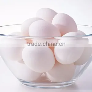 Electric Egg Steamer / Egg Cooker / Egg Warmer /egg Boiler thumbnail-5