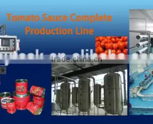 Whole Line of Tomato Paste Plant Machinery China thumbnail-1