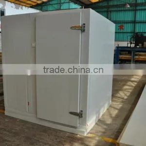 Polyurethane Hinged Cold Room Door Cold Storage Door Swing Door thumbnail-3