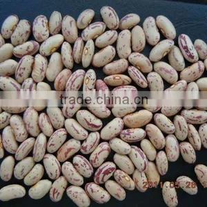 Dried Beans thumbnail-1