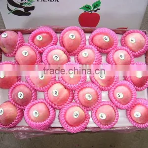 2016 New Season Fuji Apple Fruit thumbnail-1