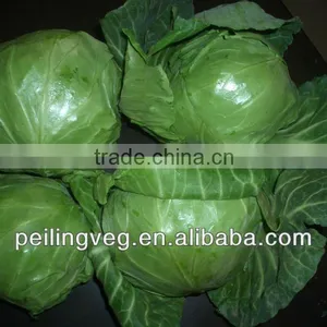 10/15KG CARTON BAGS NEW CROP FRESH CABBAGE thumbnail-1