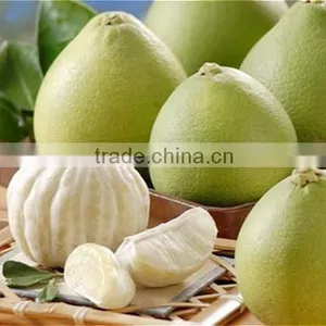 Pomelo thumbnail-4