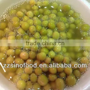 Caned Green Peas Canned Food Strict QC Team in China thumbnail-1