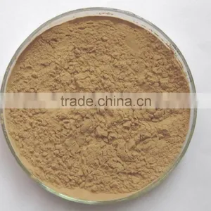 Schisandrins Extract 2%,3% From Schisandra Chinensis Extract thumbnail-5