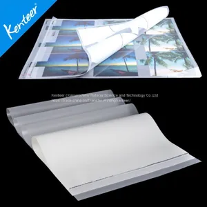 Glossy PET Film for Screen Printing Hot Sale thumbnail-1