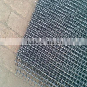 Popular Electro/Hot Dipped Galvanized Crimped Wire Mesh/Crimped Wire Mesh thumbnail-5