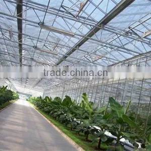 Light Frame Steel Structure Building for Greenhouse, Poultry Farm With Really Low Cost thumbnail-5
