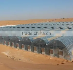 Hydroponic Systems for Greenhouses thumbnail-6