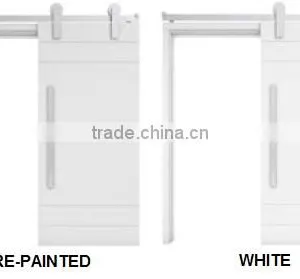 Barn Doors thumbnail-2
