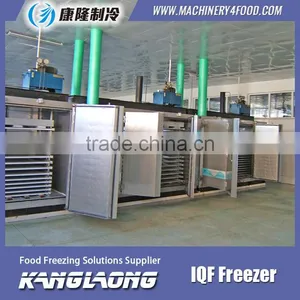 High Quality Mini IQF Freezer With Great Price thumbnail-3
