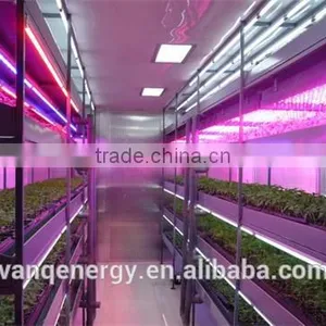 20W Led Grow Light Tube Vertical Farming Hydroponic/aquaponics Tomato Led Light thumbnail-2