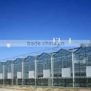 Glass Greenhouse-2 thumbnail-2