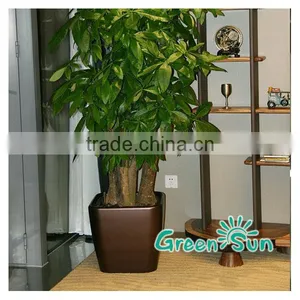 Flower Pots for Garden,pots Garden Planter,planter for Garden thumbnail-6