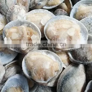 Frozen Clam Black Clam thumbnail-2