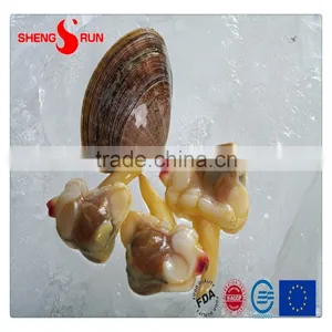 Frozen IQF Surf Clam Meat Gutted thumbnail-1