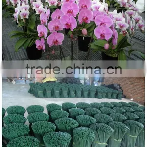Chinease Factory Produce Color Skewer thumbnail-1