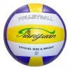 Volleyball thumbnail-1