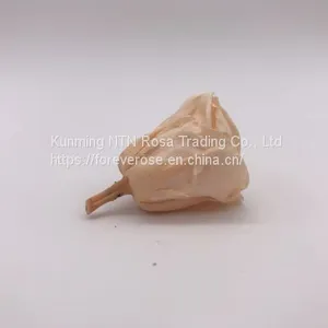 Preserved Rose Flowers for Wedding Decoration Flower Arrangement thumbnail-4