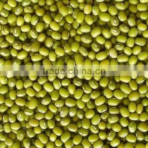 Organic Mungbean thumbnail-1