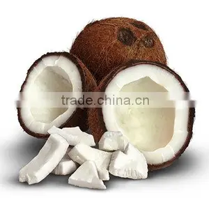 Good Price Fresh Coconut for Export From Vietnam/ Fresh Young Coconut Meat thumbnail-3
