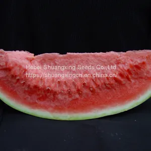 Emperor Chinese High Quality Hybrid Watermelon Seeds for Growing thumbnail-3