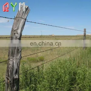 Low Price Barbed Wire Prison Barbed Wire Fencing Wire Barbed thumbnail-5
