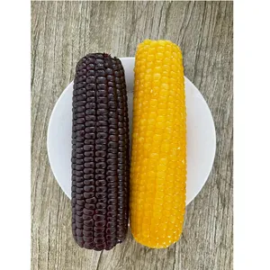 Mature Corn Yellow Glutinous Corn Black Glutinous Corn thumbnail-4