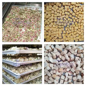 Efficient and Fast Meat Chicken Fish Lyophilize Food Vacuum Freeze-Drying Machine EPC thumbnail-3
