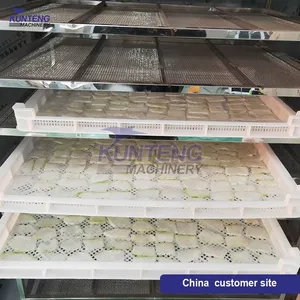 Coconut Dryer Machine Hot Air Coconut Copra Slices Drying Grinding Machine Production Line EPC thumbnail-4